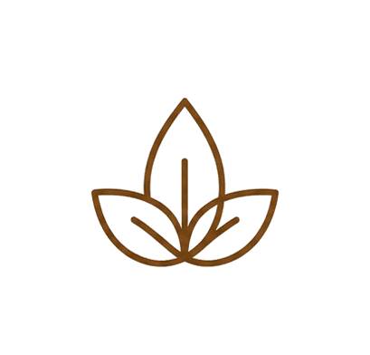 Natural healing icon
